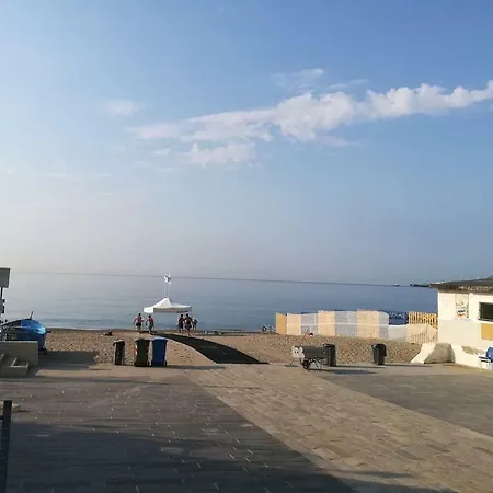 Violamare *