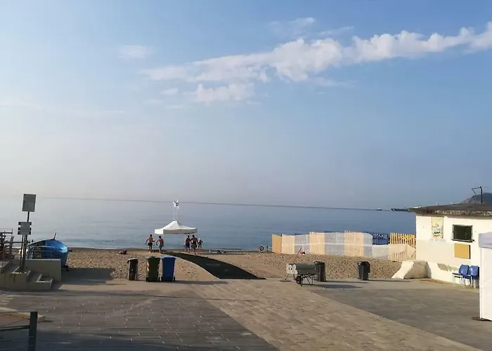 Violamare *